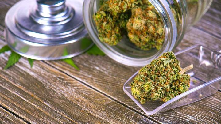 Fleurs de CBD Aureilhan