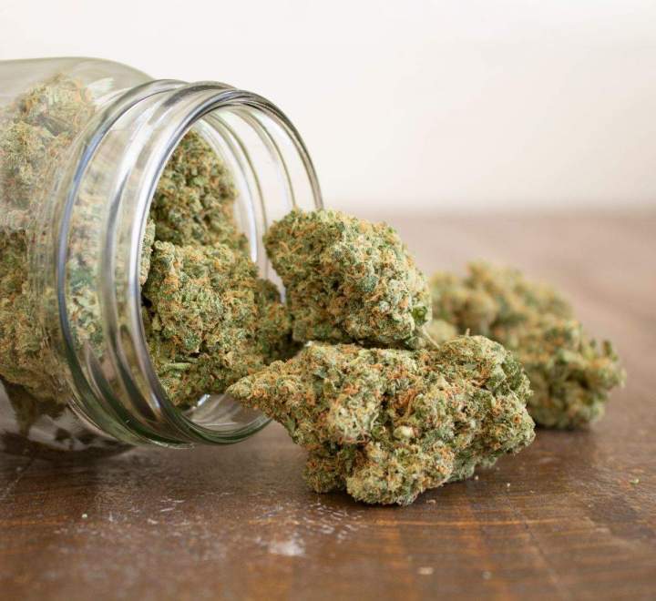 Des fleurs extraites de plantes sélectionnées pour leur richesse en cannabidiol et leur faible teneur en THC