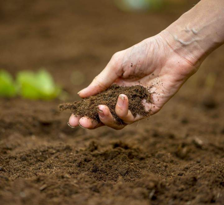 Pour favoriser la croissance des plantes